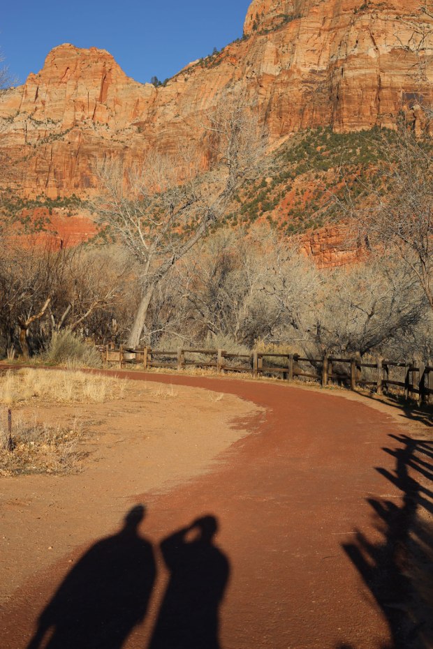 Zion, late afternoon